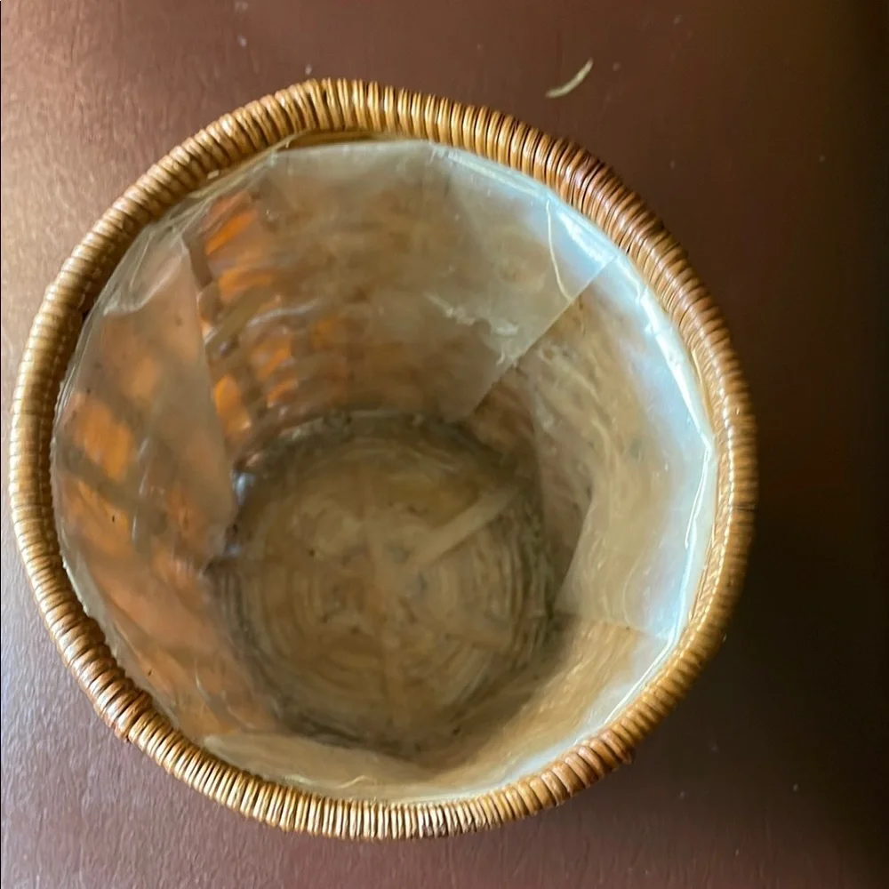 Woven Tan Basket with Liner for plants